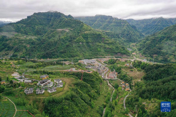 1664182028551452.jpg 5.jpg